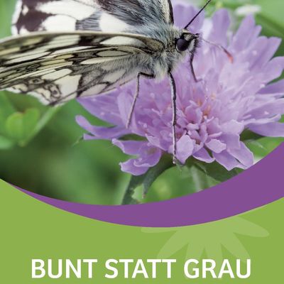 Ein neuer Flyer vom Landkreis Kassel in Zusammenarbeit mit der Gemeinde Kaufungen und der Stadt Baunatal wirbt für die Anlage von blühenden Vorgärten.